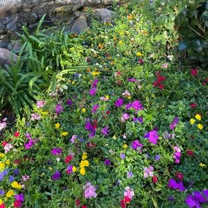 Meet your Posher, Vivian